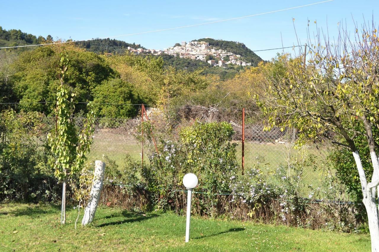 Skafonas Apartments Pelekas Exterior foto